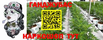 ECSTASY Будённовск