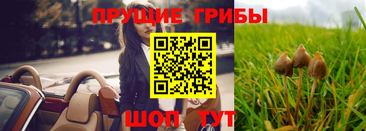 купить  сайты  Вход с VPN  Псилоцибиновые грибы мухоморы  Темрюк  Псилоцибиновые грибы MAGIC MUSHROOMS 