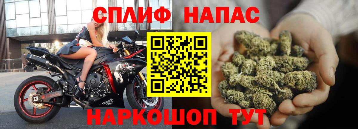 Бошки марихуана MAZAR Темрюк
